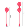 Spheres Set de 2 Bolas Kegel Rosa