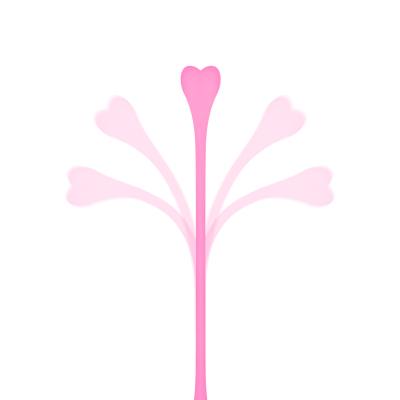 SET 5 BOLAS EJERCICIO KEGEL - OHMAMA