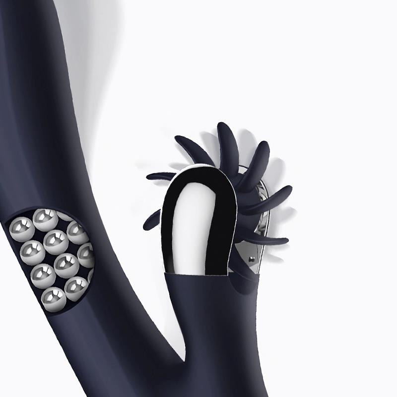 Royalspace | Kiwichi