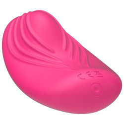 Panty vibe VIBRADOR PARA BRAGUITA CONTROL REMOTO
