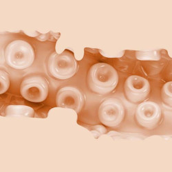 Fleshligh Sasha Nakamoto Vagina