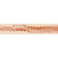 Fleshligh Sasha Nakamoto Vagina