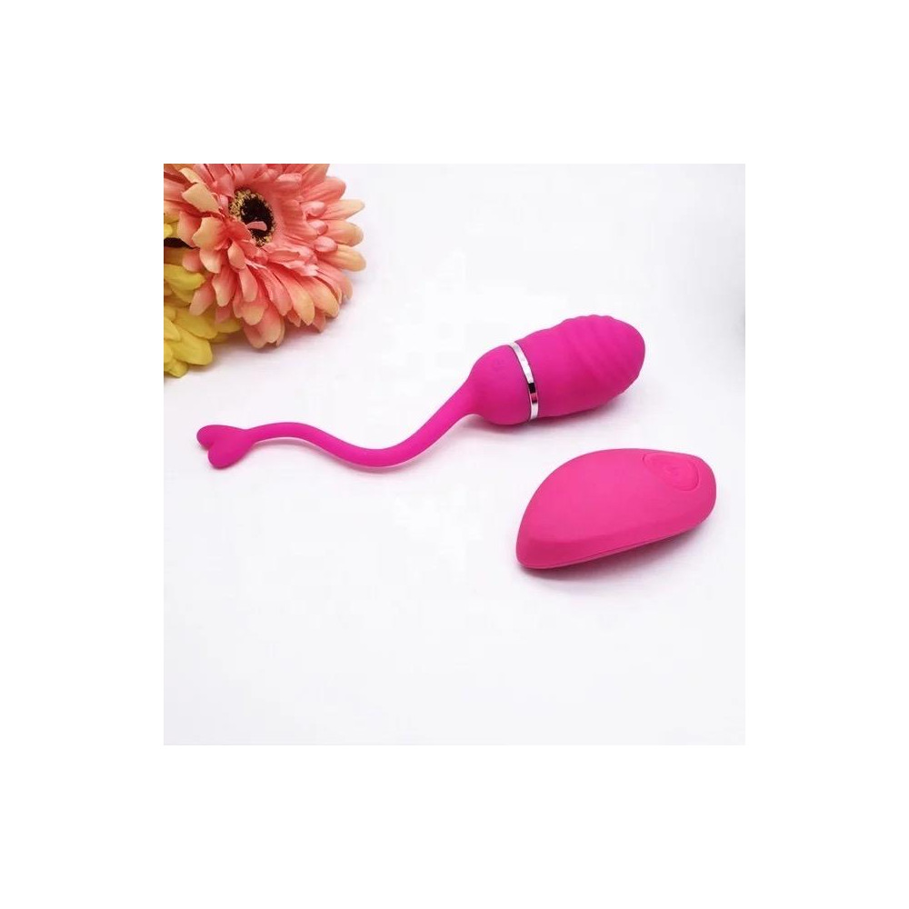 Huevo Vibrador Control Remoto Odise USB Silicona Rosa