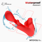 Franky Vibrador con Biting y Bola Rotativa con APP