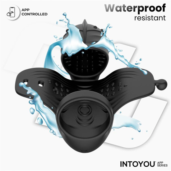 Zonte Masturbador con Rotación y Vibración con App