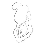 KISS SUCCIONADOR DE CLÍTORIS VIBRADOR DE DEDO RECARGABLE