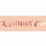 Masturbador Realista Scarlet Temptress Nicolette: Secret Affairs | Material XKIN