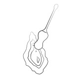 Vello Huevo Vibrador Turquesa con Mando