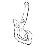 Hype Vibrador Punto G