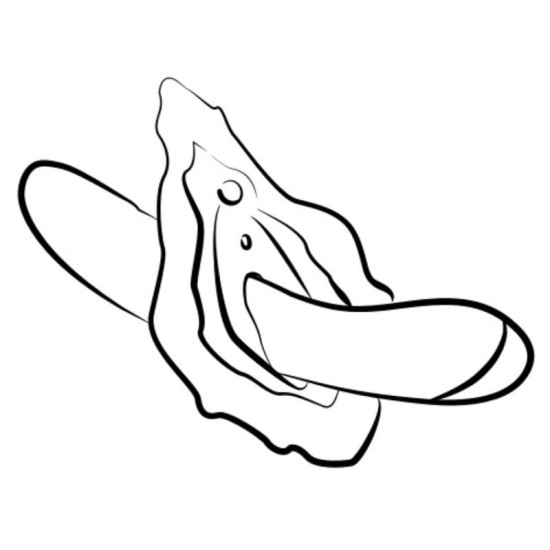 Hype Vibrador Punto G