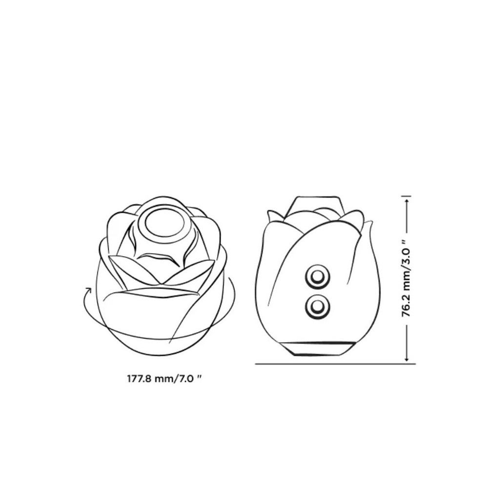 ROSE 2.0