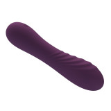 Alexisrose Vibrador Morado