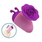 Little Bee Estimulador Clitoris Morado-Rosa