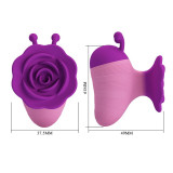 Little Bee Estimulador Clitoris Morado-Rosa