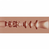 MASTURBADOR CARREER GIRLS MISCHIEVOUS MAID LACEY DUSTANDRIDE TPE MEDIUM 204G TAN XKIN