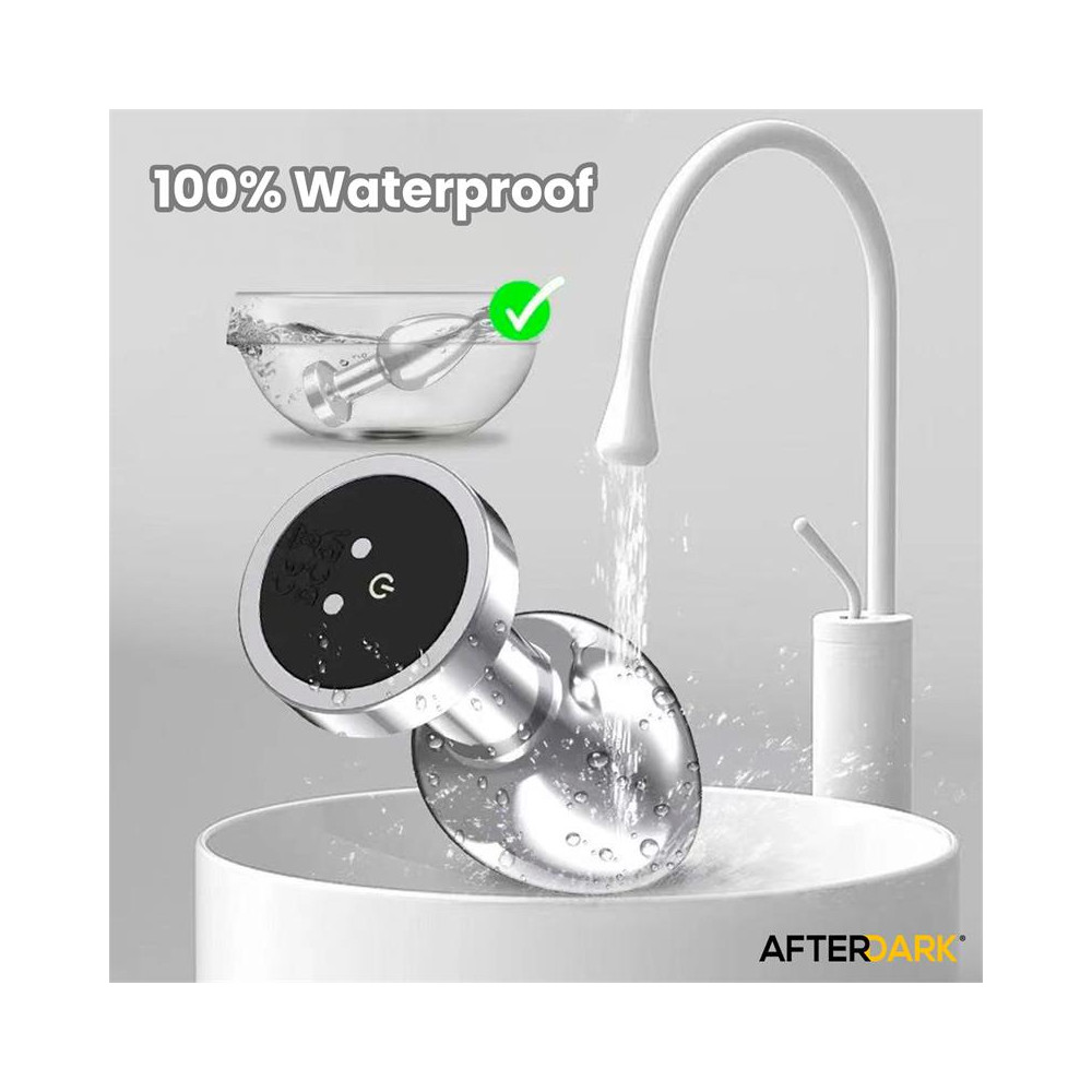 Dimpor Plug Anal Cromado con Vibración USB Magnético Talla S