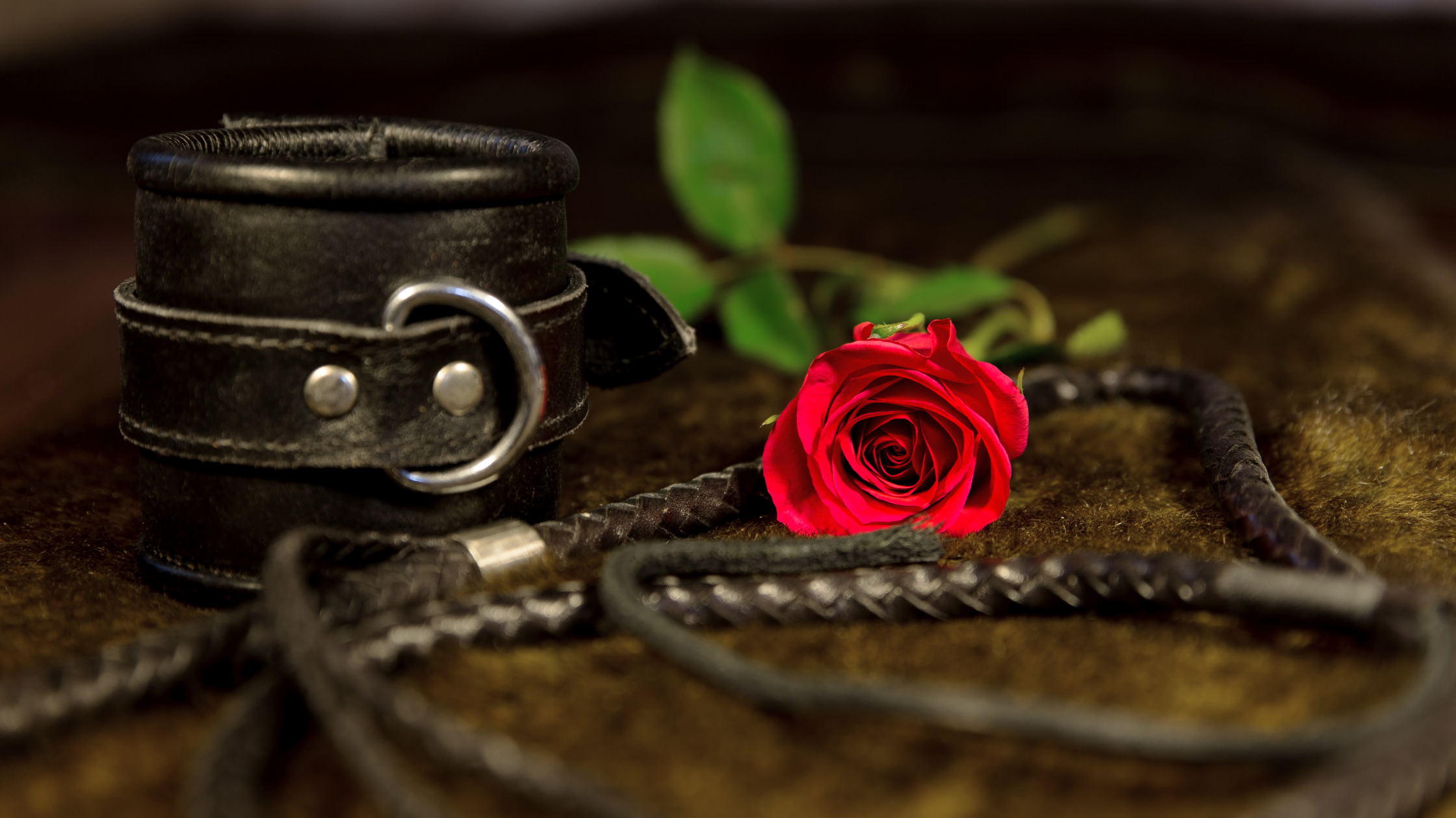 Spaking. Guía completa para descubrir el placer del azote